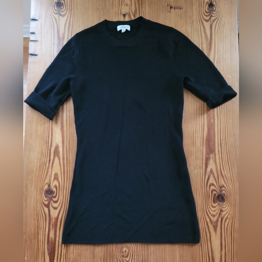 Aritzia/ Wilfred Nylon dress